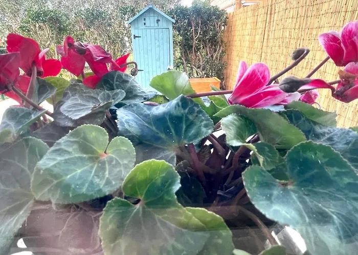 別荘 Domus Libeccio 57